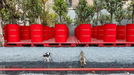 Pflanzen in rigider Ordnung, eine Installation des Künstlers Khalil Raban im Garten eines früheren französischen Waisenhauses.