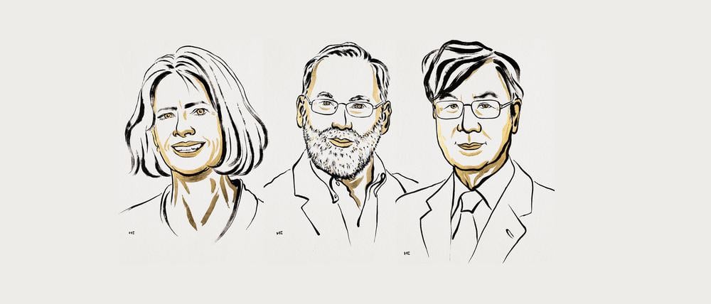 Die Nobelpreisträger in der Medizin 2025: Mary Brunkow, Fred Ramsdell und Shimon Sakaguchi (von links nach rechts).