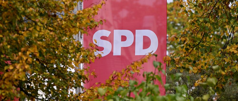 Flagge der SPD vor dem Regine-Hildebrandt-Haus im Herbstlaub.