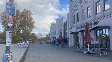 Pendler werden am Bahnhof von Brandenburg/Havel mit Wahlplakaten empfangen.
