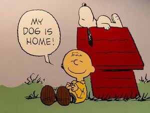 Die „Peanuts“ sind auch 75 Jahre nach der Veröffentlichung des ersten Comic-Strips ein gutes Geschäft.