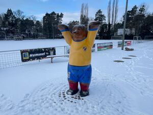 Das Vereinsgelände mit dem Buddy Bären in Vereinsfarben Blau und Gelb.