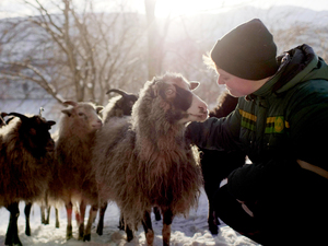 Die Ökofilmtour 2026 eröffnet am Freitag um 18 Uhr im Filmmuseum Potsdam mit dem Dokumentarfilm „Woolly“ von Rebekka Nystabakk.
