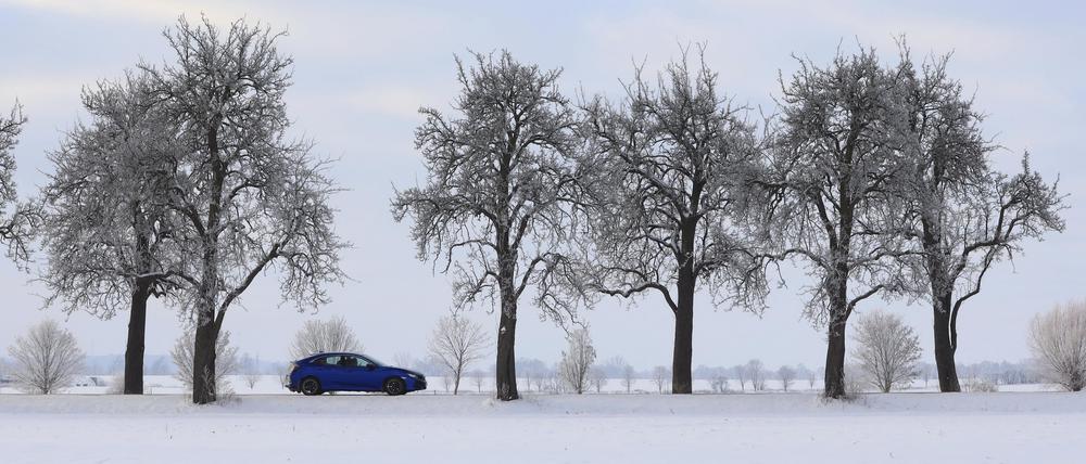 Schnee und Glätte in Brandenburg: So ist der Winter - das Wetter