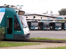 Neuer ViP-Fahrplan für Potsdam: Tramverkehr wird verstärkt, Busverkehr ausgedünnt