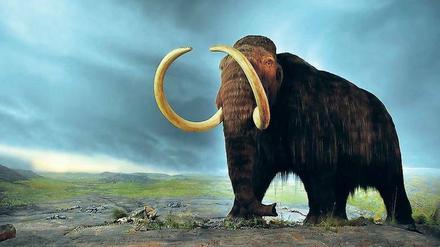 Vision. Vor ungefähr 4000 Jahren sind Mammuts ausgestorben. Jetzt versuchen Wissenschaftler, die Tiere mithilfe von Biotechnologie wieder zum Leben zu erwecken.