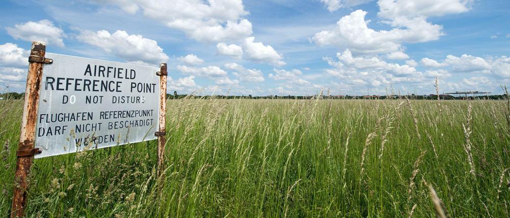 Viel Grün, viel Blau und kein Betongold: Blick auf Berlins Tempelhofer Feld