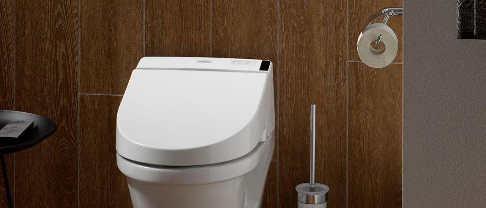 Alles Toto: In Japan kommt kein angesehenes Lokal mehr um eine Keramik des Marktführers herum. Hierzulande sind Meeresrauschen und Massagestrahl kaum gefragt.