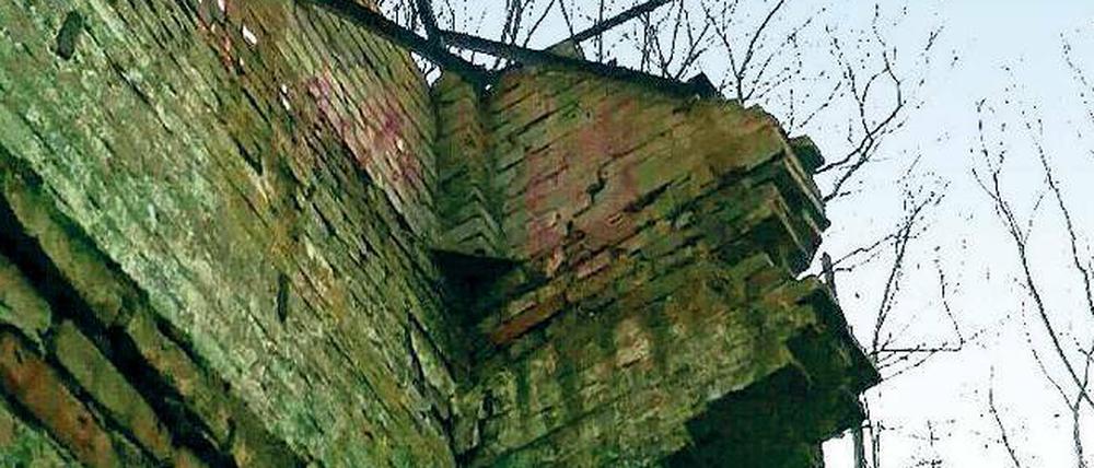 Das vergessene Mauerstück in Schönholz.