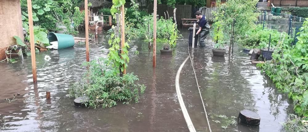 Die überschwemmte Gärtnerei