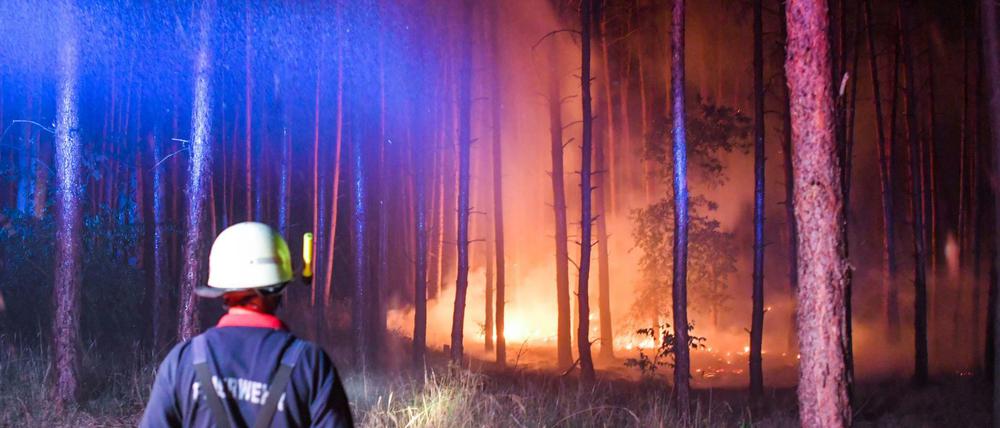 Waldbrand in Brandenburg
