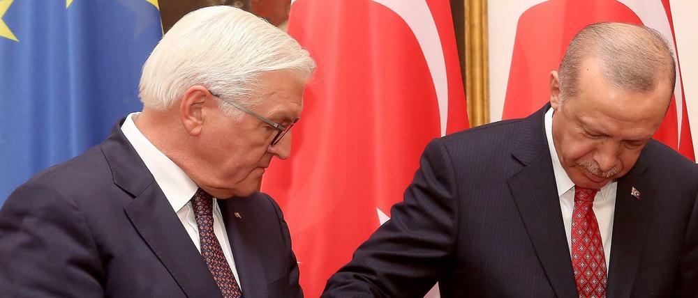 Bundespräsident Frank-Walter Steinmeier (links) und der türkische Präsident Recep Tayyip Erdogan im Schloss Bellevue.
