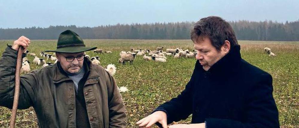 Balanceakt. Habeck will die Interessen von Tierschützern und Weidetierhaltern wahren.