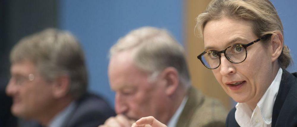 Fraktionschefin Alice Weidel - mit den Parteichefs Alexander Gauland (m) und Jörg Meuthen (l).