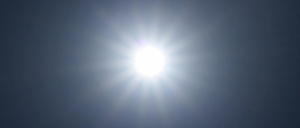 Strahlend schön: Sommer, Sonne, See - und vielleicht auch ein Café mit Steg?