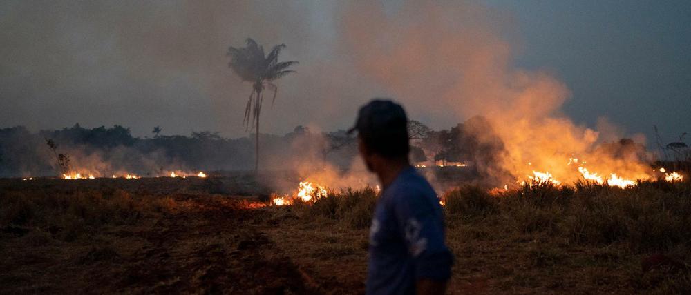 Brasilien, Santa Helena