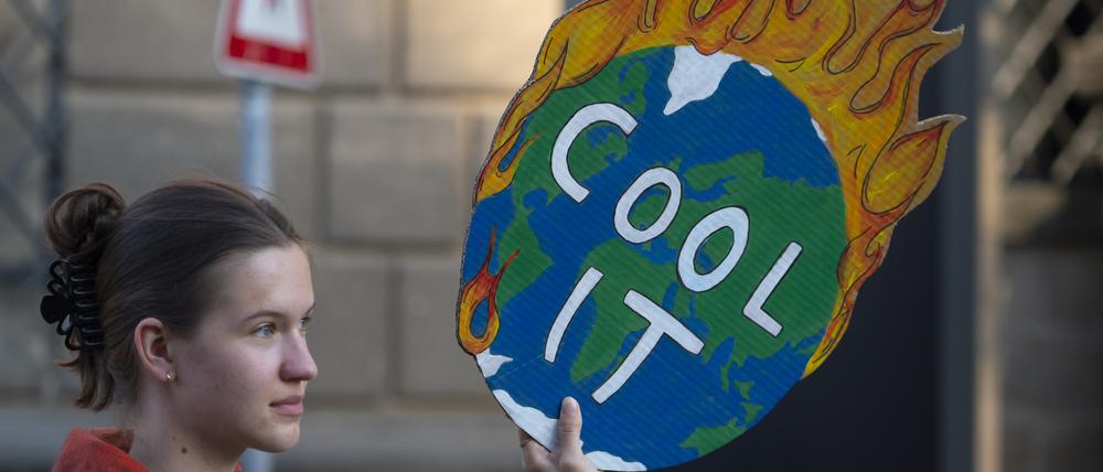Klima-Protest, hier von links. Eine junge Frau demonstriert am globalen Aktionstag von Fridays for Future in der Dresdener Innenstadt für mehr Klimaschutz.