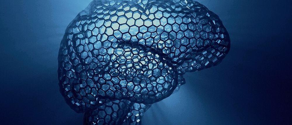 Ins Netz gegangen. Ein künstliches Gehirn, vom Computer entworfen.