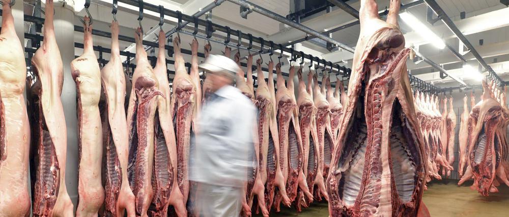 Blick in einen Schlachthof
