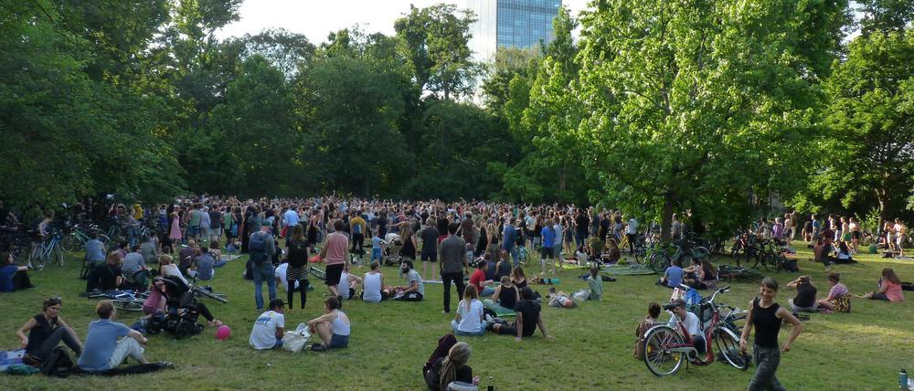 Rund 700 Menschen kamen zur "Ecstatic Dance Demo" im Treptower Park.