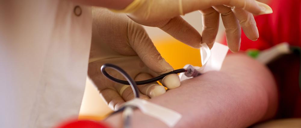 Das Deutsche Rote Kreuz sucht Freiwillige für die Blutspende.