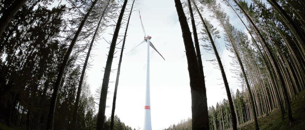 Energiebaum. Ein Windrad steht im Wald Peterberg bei Vossenack. Auch in Nordrhein-Westfalen ist der Bau von Windrädern in Wäldern umstritten.