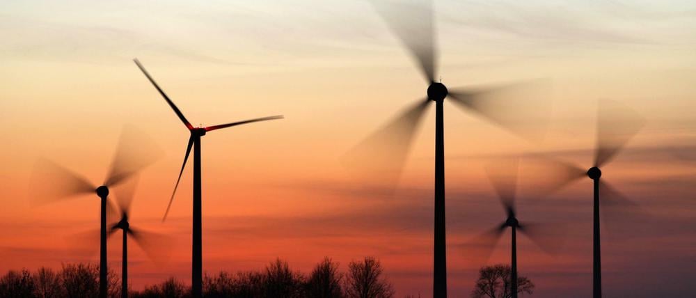 Windräder drehen sich im Abendlicht.