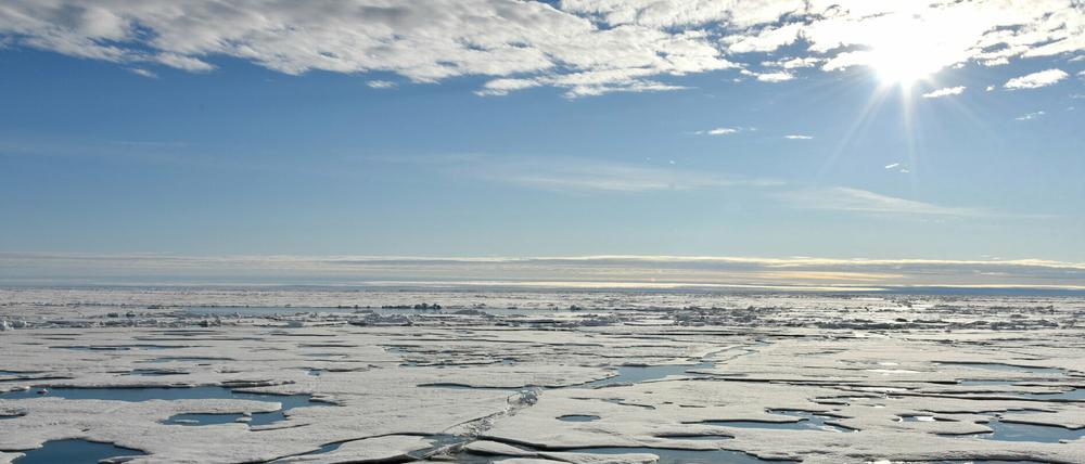 Über der Arktis wurden in den vergangenen Wochen Temperaturen gemessen, die 20 Grad über den üblichen Werten liegen.