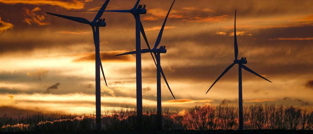 Windräder auf einem Feld in Belgien.