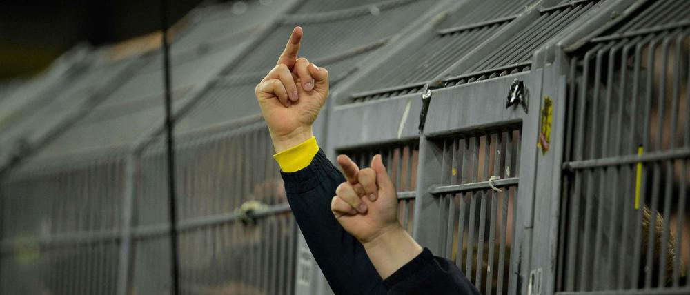 Fan-Protest gegen den Investoren-Einstieg bei der DFL bei einem Spiel zwischen Borussia Dortmund und dem SC Freiburg am 9. Februar 2024.