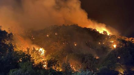 Dieses von der italienischen Feuerwehr zur Verfügung gestellte Foto zeigt Waldbrände in der Region Palermo auf Sizilien.