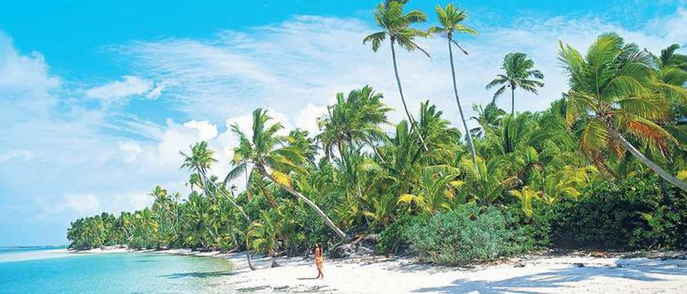 Paradies für Geldwäscher. Deutschland konkurriert mit tropischen Steueroasen.