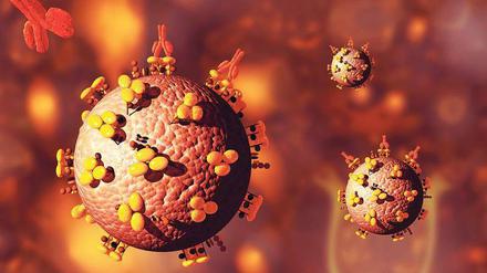 Wunschvorstellung. Wissenschaftler wollen einen Impfstoff entwickeln, der das Immunsystem anregt, Antikörper (rot) zu produzieren, die sich an die Viren heften und sie unschädlich machen.