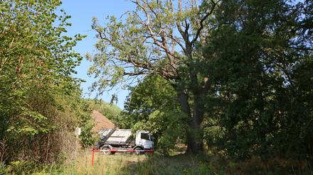 In der Fresdorfer Heide ist eine Deponie für Bauschutt geplant - die zweitgrößte Bauschuttdeponie Brandenburgs.