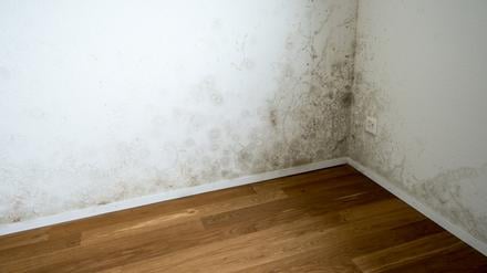 Schimmel bildet sich oft in nicht gut belüfteten Ecken.