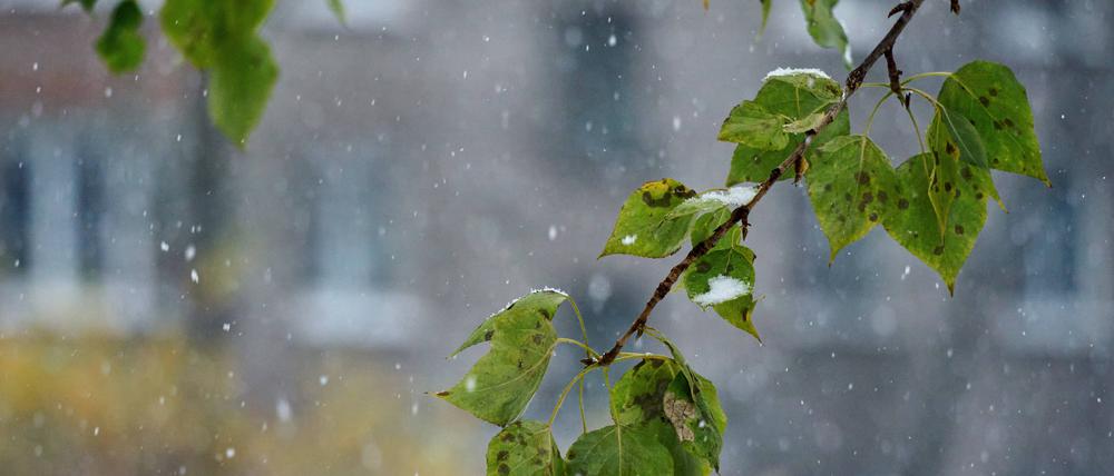 Schneefall im November 2022 in Russland.