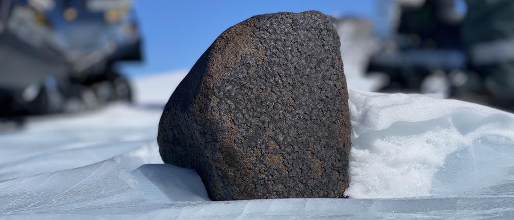 Nahe dem Südpol haben Forschende diesen Giganten gefunden.