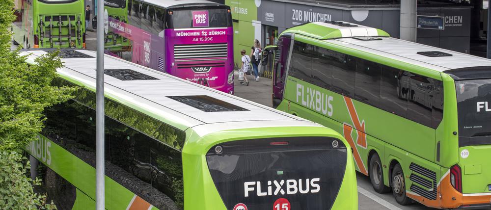 Flixbusse und ein Pinkbus.