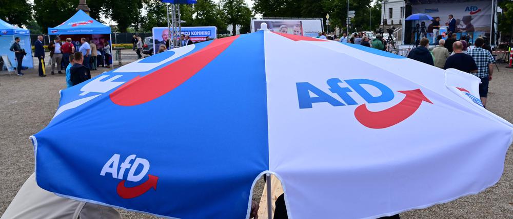 Einer Insa-Erhebung für die „Bild am Sonntag“ zufolge könnte die Partei, wäre an diesem Sonntag Bundestagswahl, 19 Prozent (+1) der Stimmen holen.