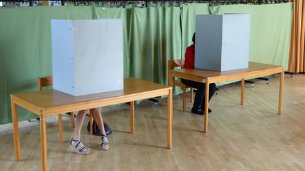 Zwei Wahlberechtigte sitzen in Wahlkabinen in Brandenburg.