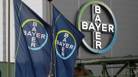 FILE PHOTO: Logo and flags of Bayer AG are pictured outside a plant of the German pharmaceutical and chemical maker in Wuppertal, Germany August 9, 2019. REUTERS/Wolfgang Rattay/File Photo