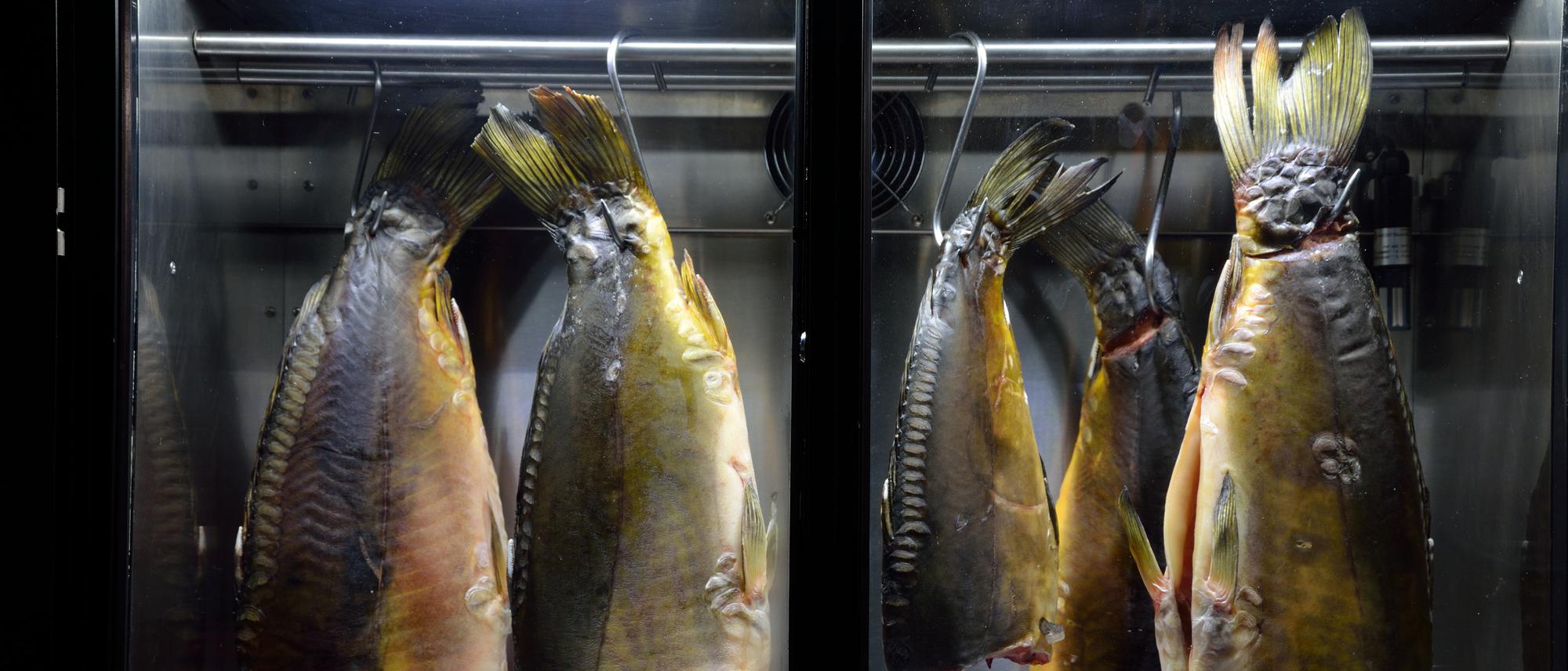 Spitzenköche Reifeprüfung: hängen Warum Schrank Fisch tagelang Die in den