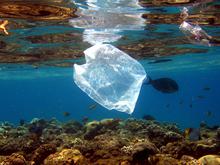 Netze, Becher und Tüten des Menschen: Bis zu elf Millionen Tonnen Plastik auf dem Meeresgrund