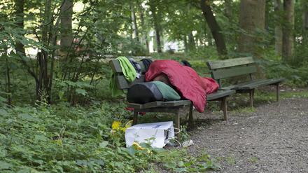 Ein Obdachloser liegt am frühen Morgen auf einer Bank im Tiergarten. 