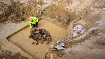 Bei Ausgrabungen lernen wir die Geschichten der Menschen aus längst vergangener Zeit kennen: Wie hier in Sachsen-Anhalt, wo 5000 Jahre alte Tierknochen in einer Opfergrube gefunden wurden.