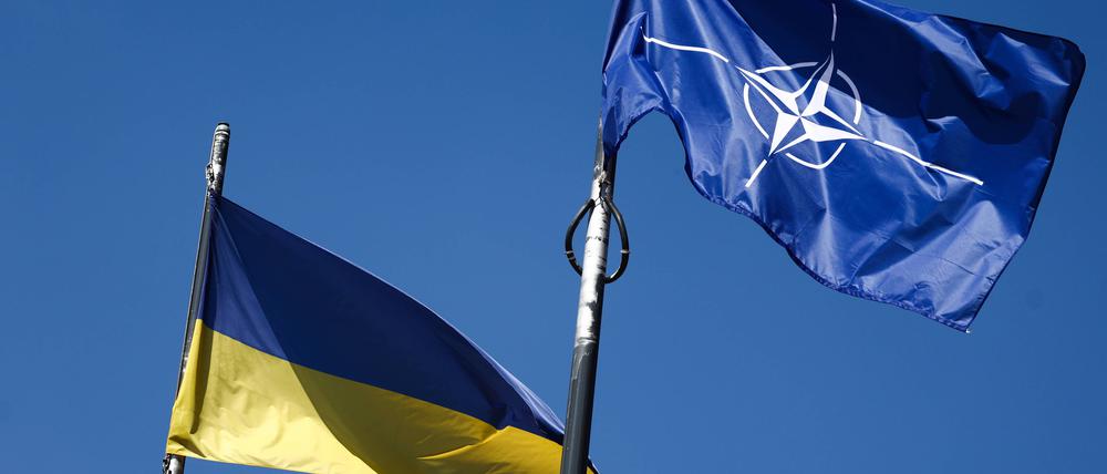 Flaggen der Ukraine und der Nato.