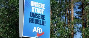 Wahlplakat der AfD in Borkwalde.