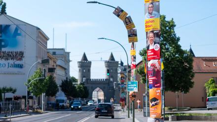  Plakate verschiedener Parteien hängen an Straßenlaternen vor dem Potsdamer Rathaus. 