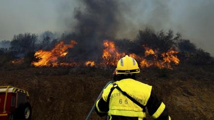 Feuerwehrmann bei den Löscharbeiten an einem Waldbrand in der Nähe von Cerbere in Südfrankreich. 