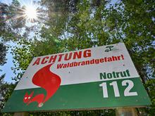 Vier Landkreise betroffen: Mehrere Waldbrände in Brandenburg ausgebrochen